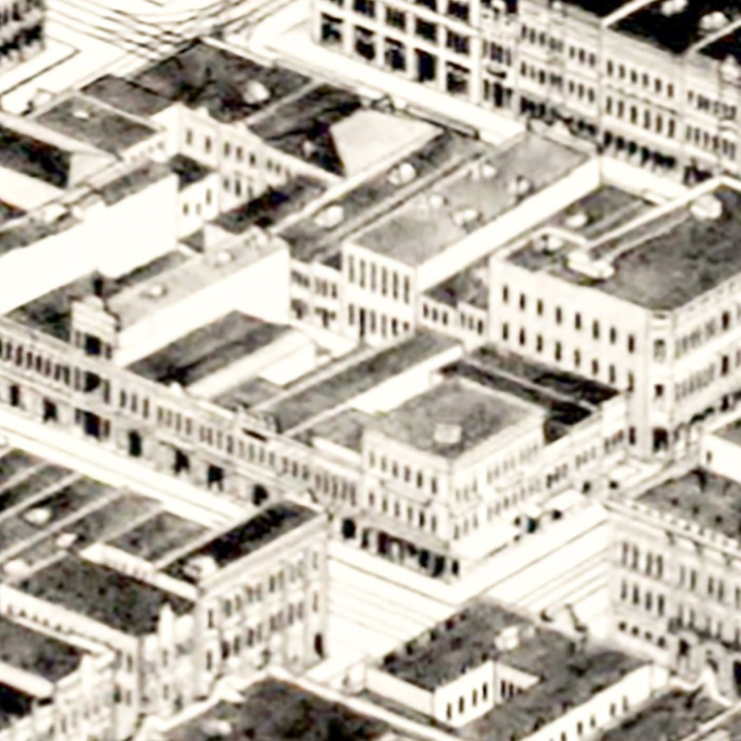Vintage Map of Birmingham, Alabama 1903