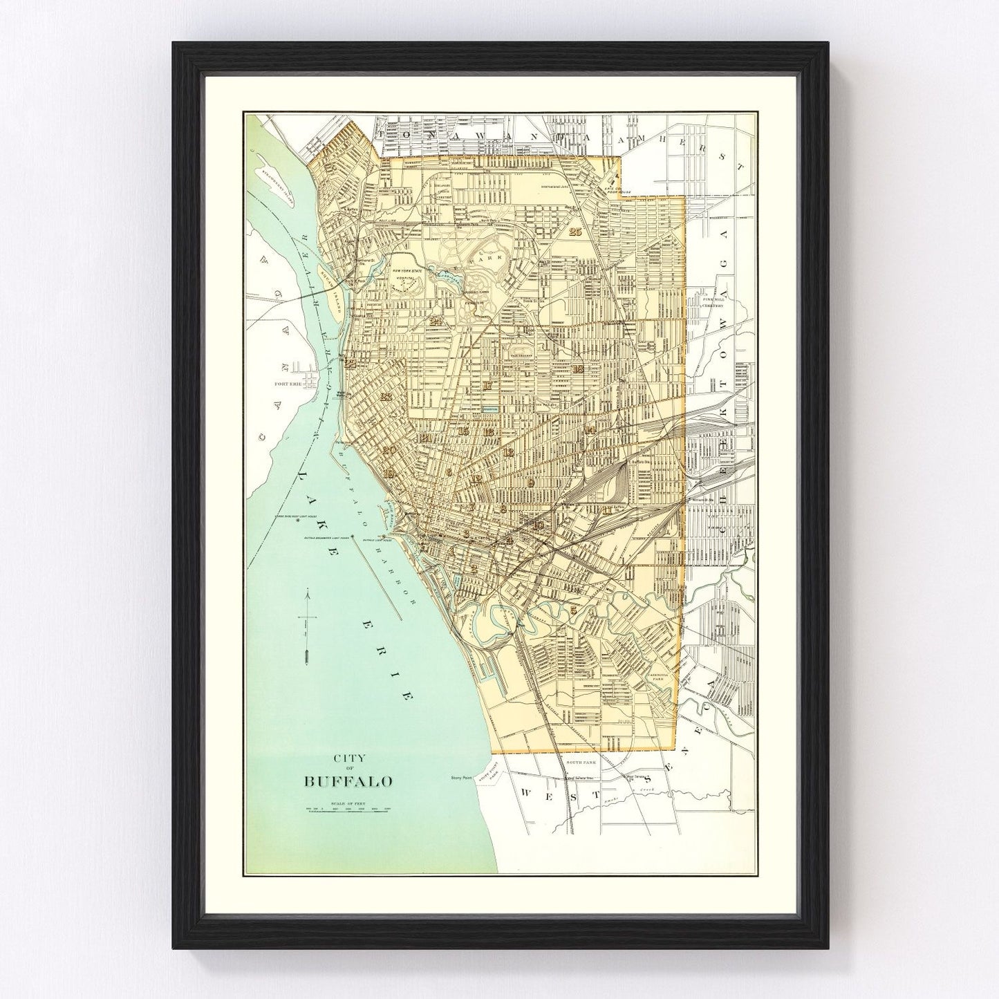 Vintage Map of Buffalo, New York 1895