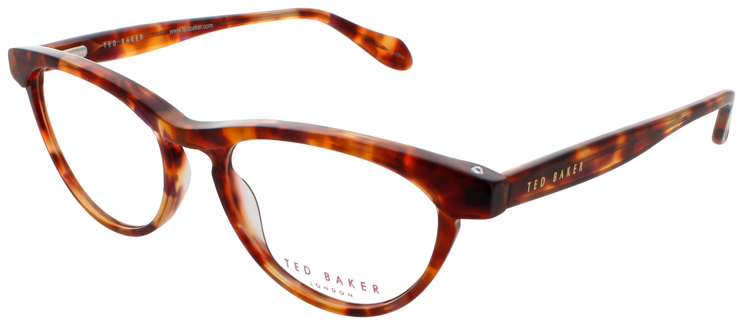 Ted Baker B713 Eyeglasses