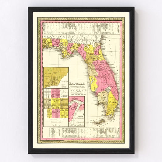 Vintage Map of Florida 1847