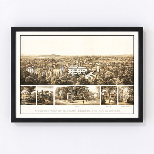 Vintage Bird's Eye View of Harvard 1858