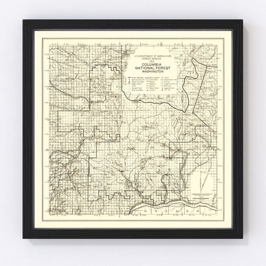 Vintage Columbia National Forest Map 1913