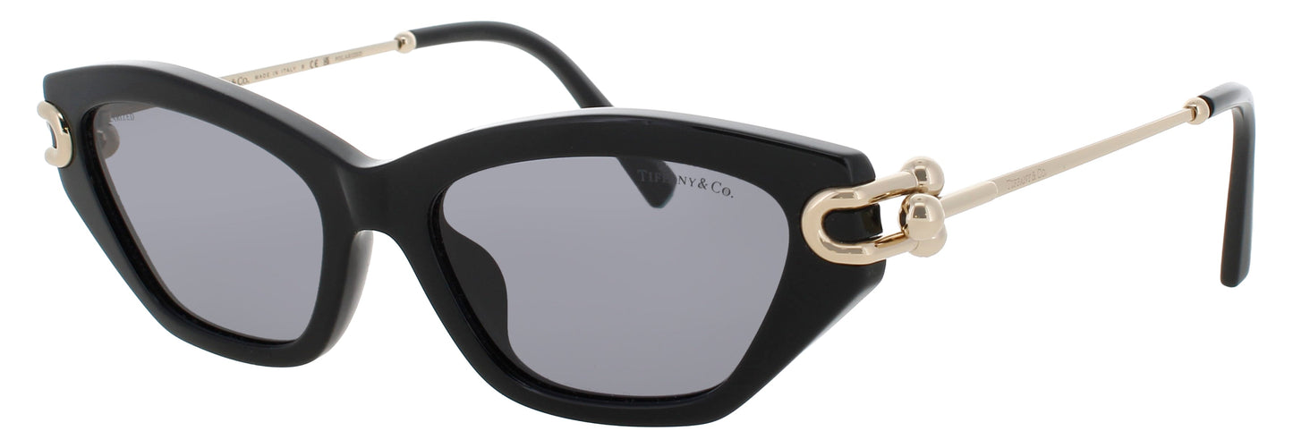 Tiffany & Co Tf4231u Sunglasses
