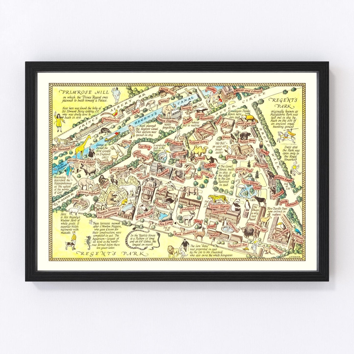 Vintage Map of Zoological Gardens Regent Park, 1947