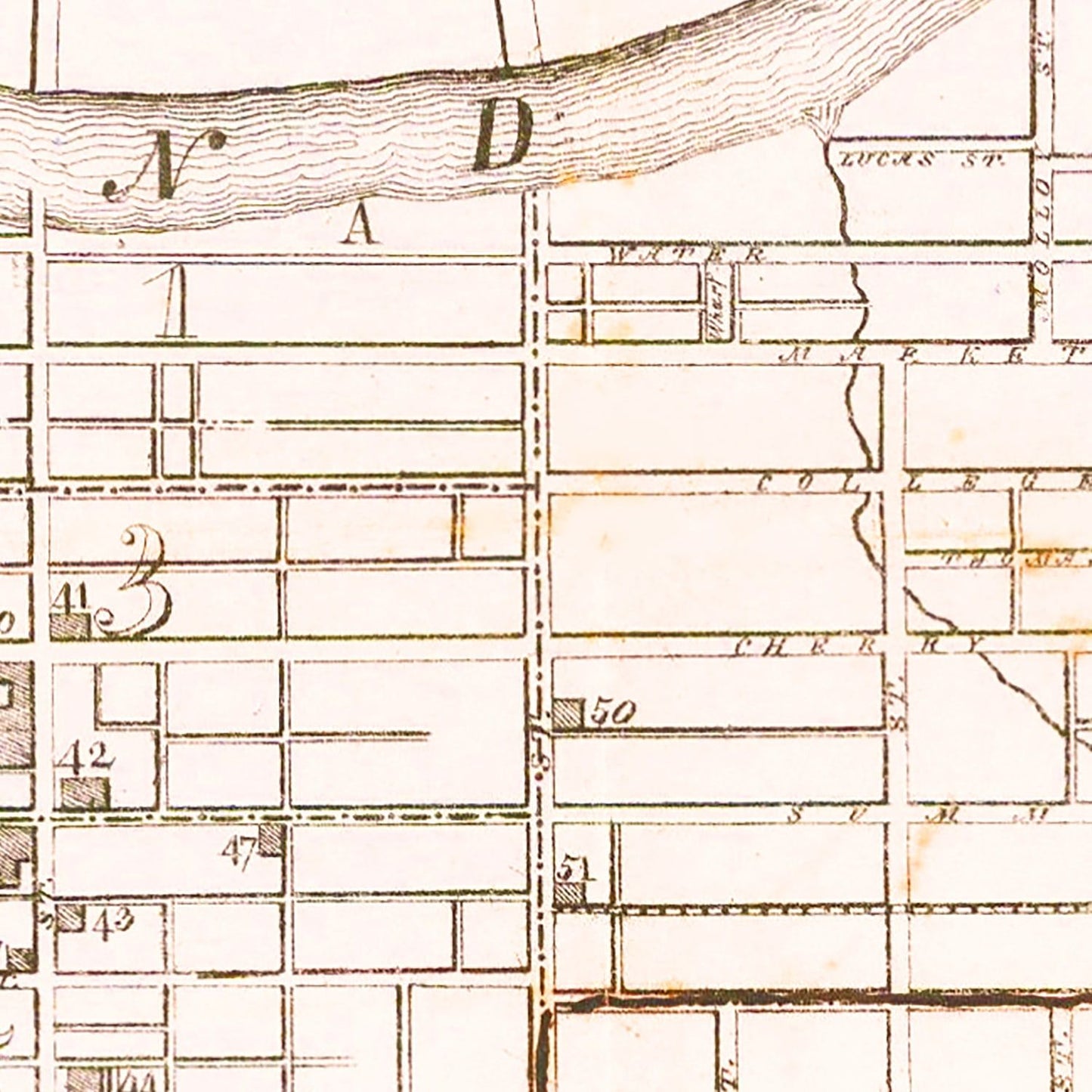 Vintage Map of Nashville, Tennessee 1860
