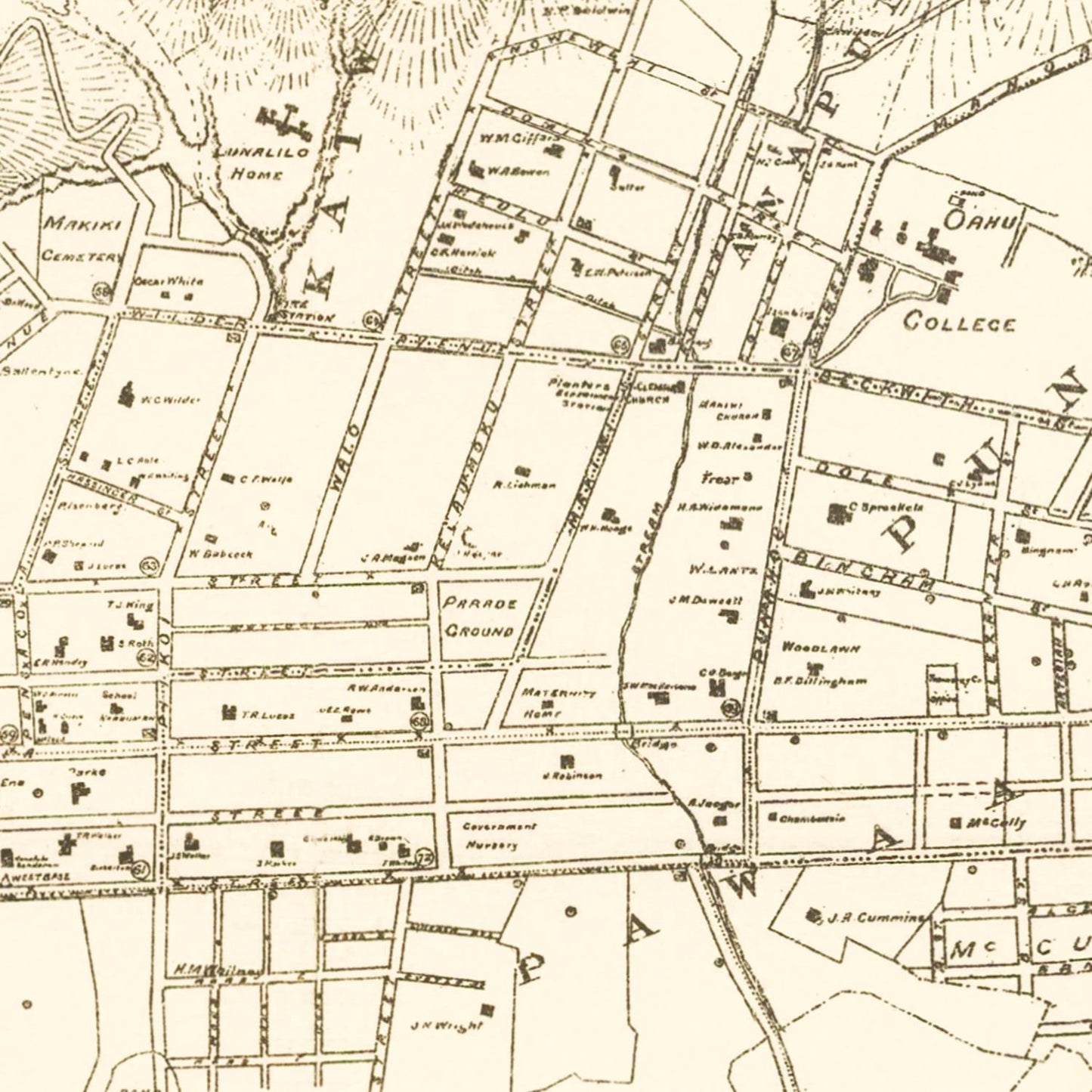 Vintage Map of Honolulu, Hawaii 1901