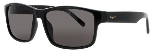 Salvatore Ferragamo Sf960s Sunglasses