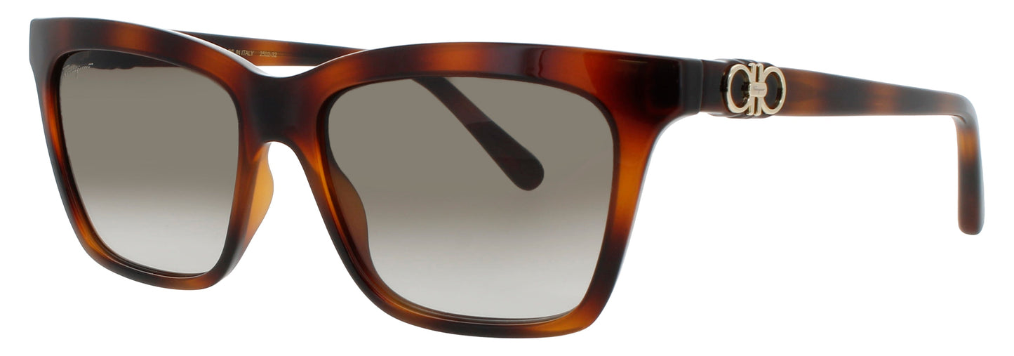 Salvatore Ferragamo Sf1027s Sunglasses