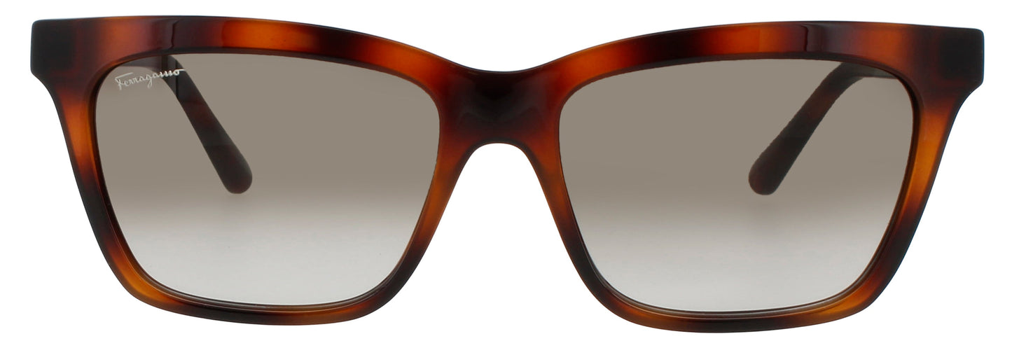 Salvatore Ferragamo Sf1027s Sunglasses