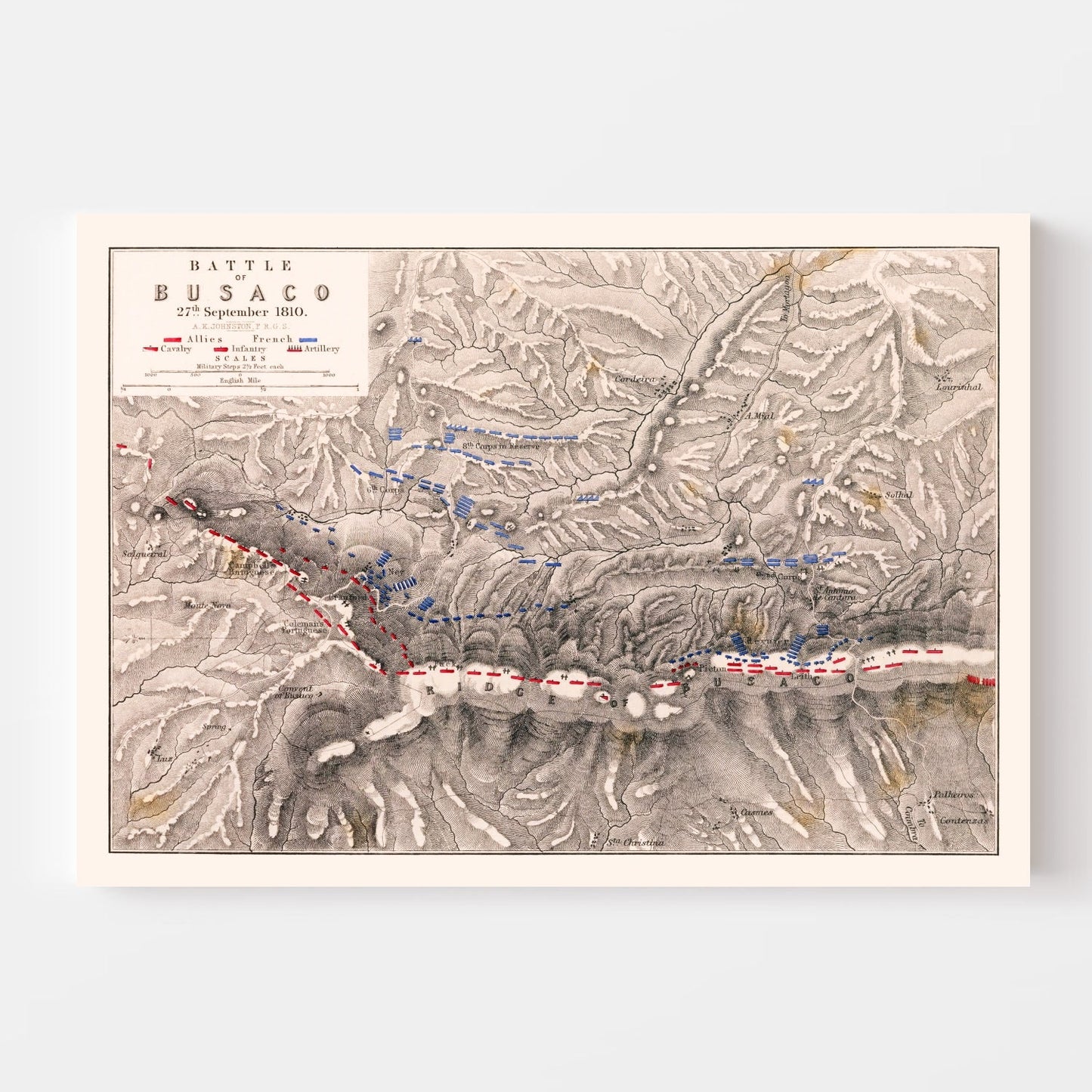 Vintage Map of the Battle of Busaco, 1810