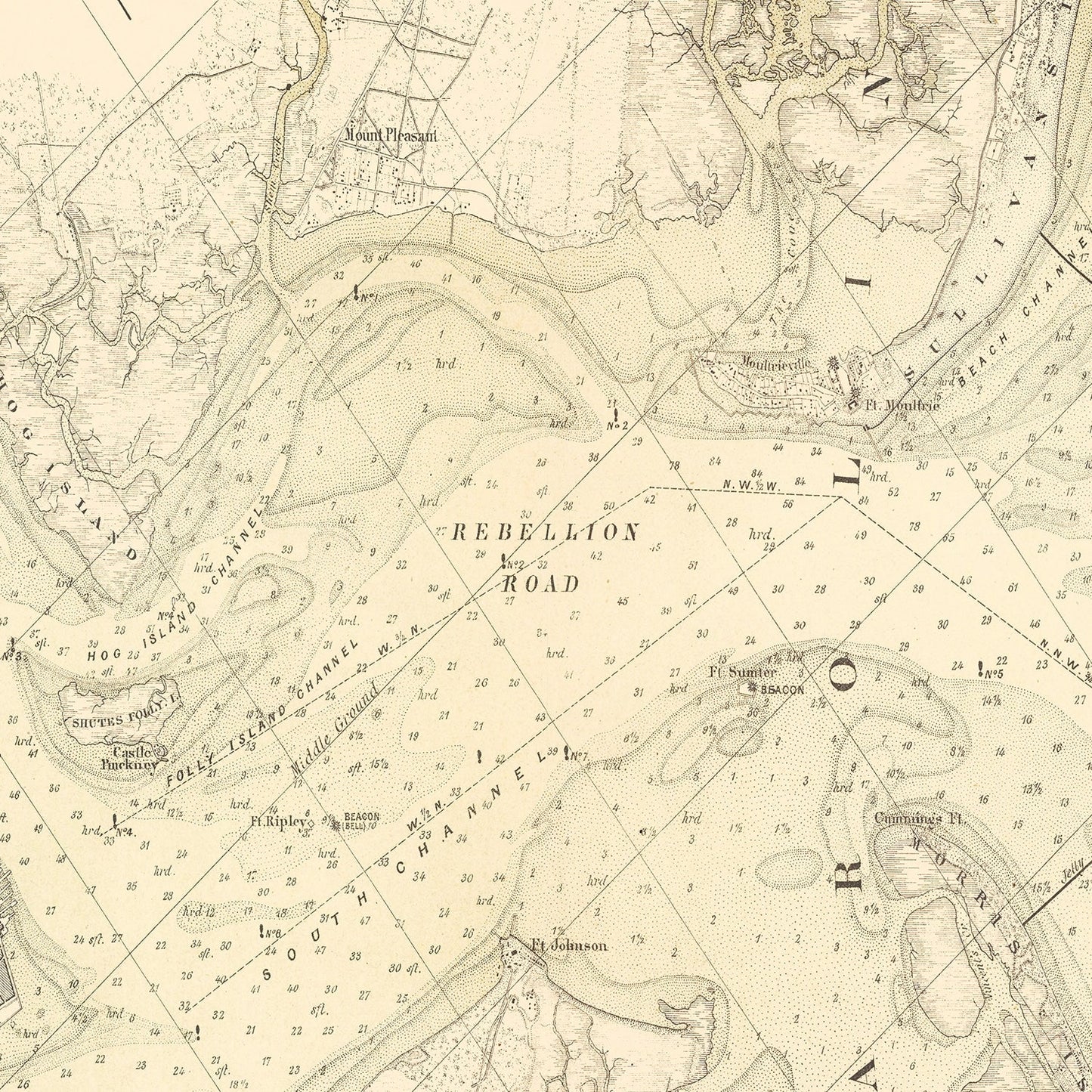 Vintage Map of Charleston, South Carolina 1884