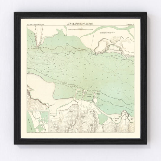 Vintage Map of Auckland, New Zealand 1884