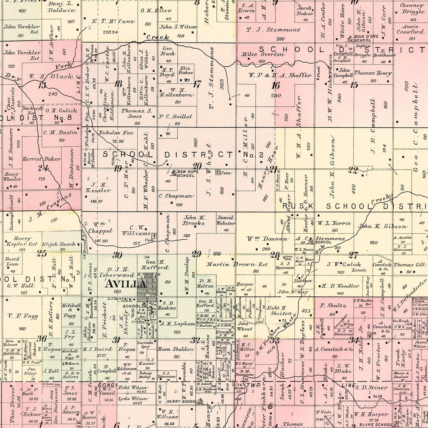 Vintage Map of McDonald Township, Jasper County, Missouri 1895