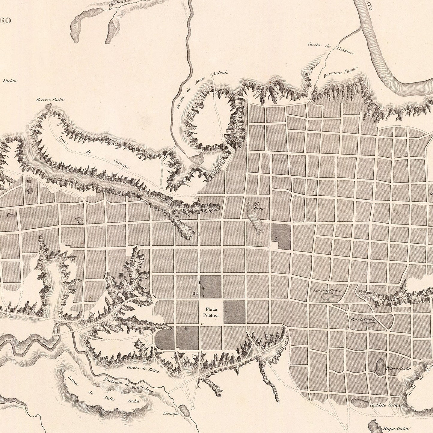 Vintage Map of Moyobamba, Peru 1865