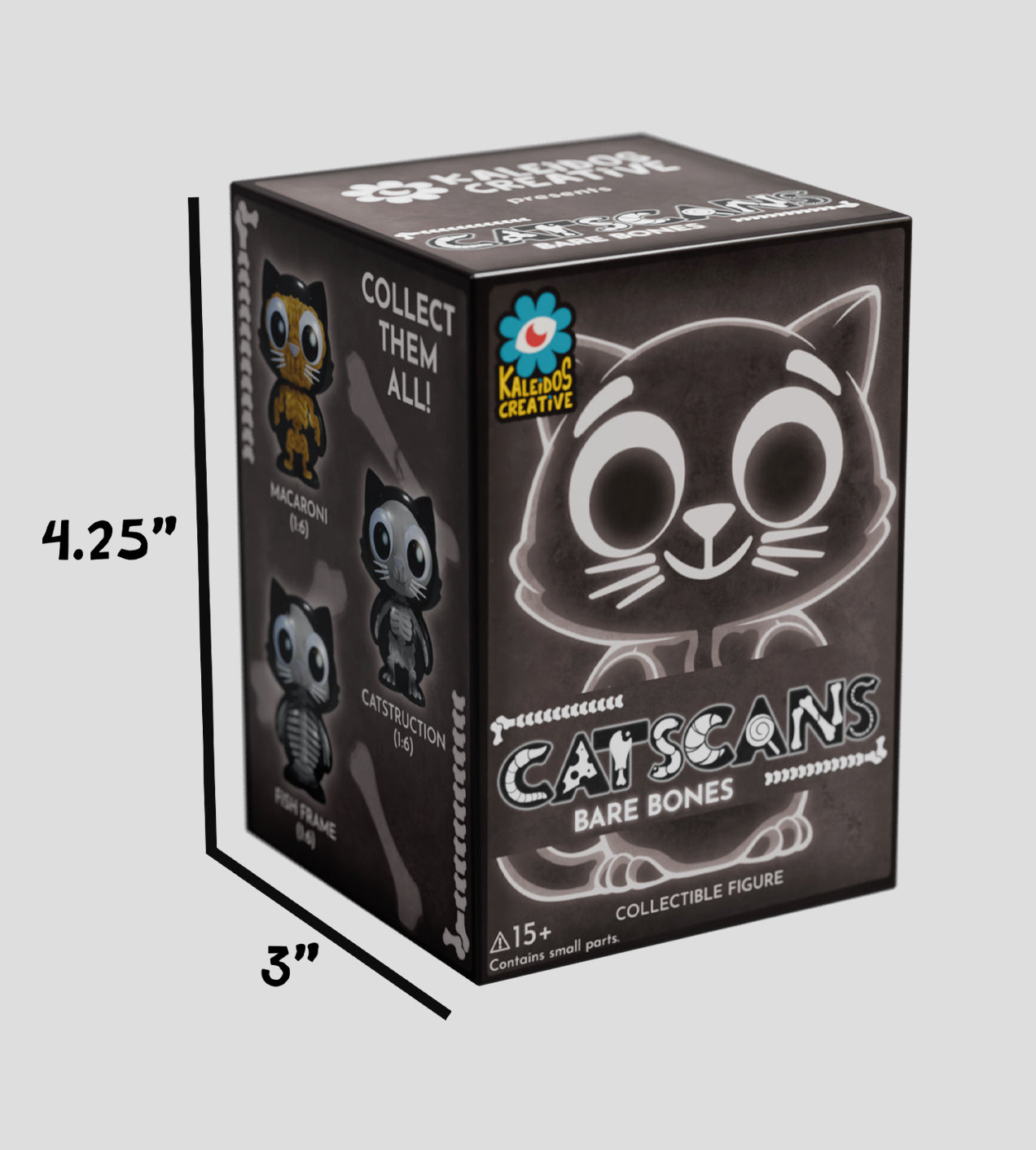 Catscans Bare Bones Blind Box - Charlie the Cat X-Ray Series by Kaleidos Creative