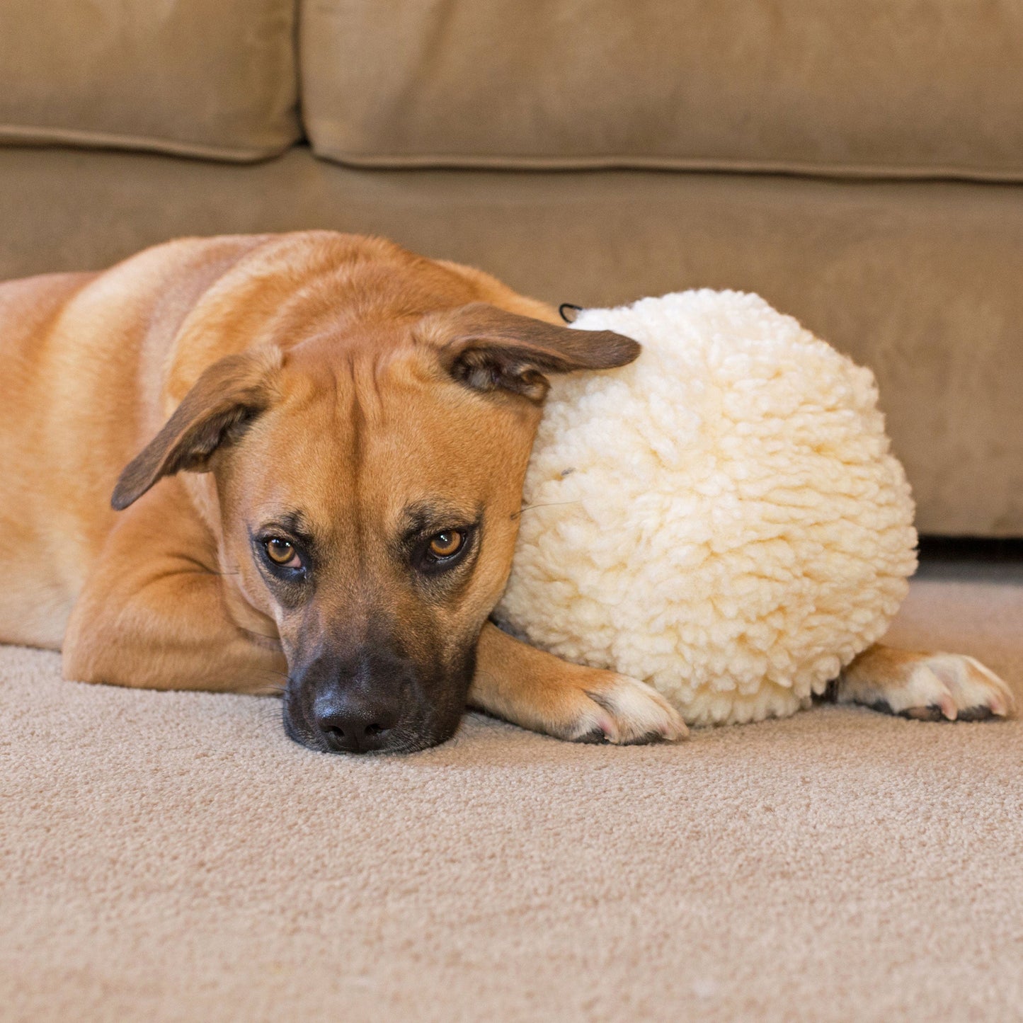 HuggleFleece® Plush Ball Dog Toy