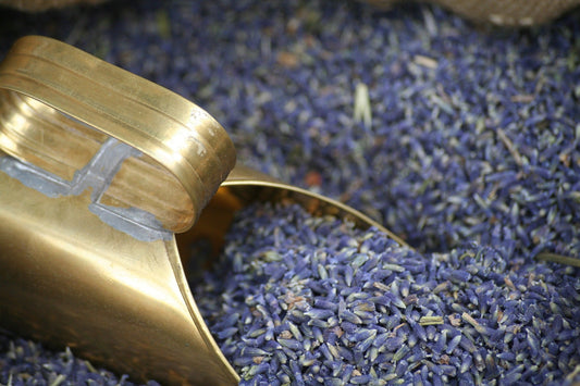 Lavender Flowers, Whole
