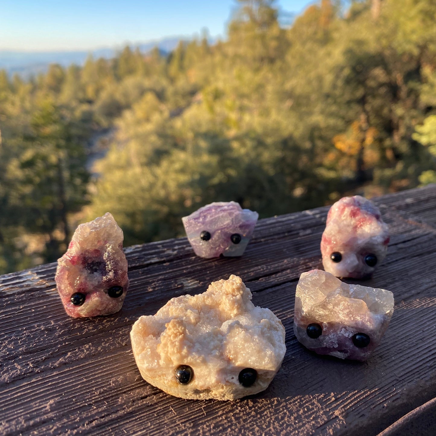 Stone Buddies & Rock Friends