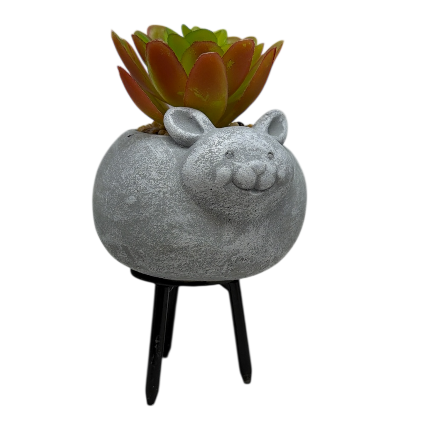 Faux 2 Tone Succulent In Planter - Mouse
