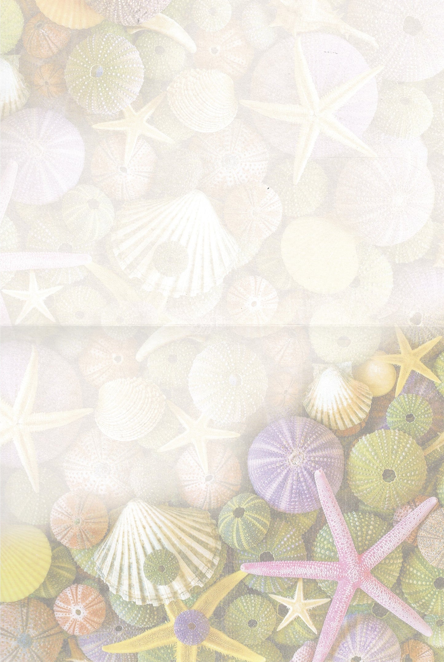 Ocean Treasures Greeting Card -  Blank Card