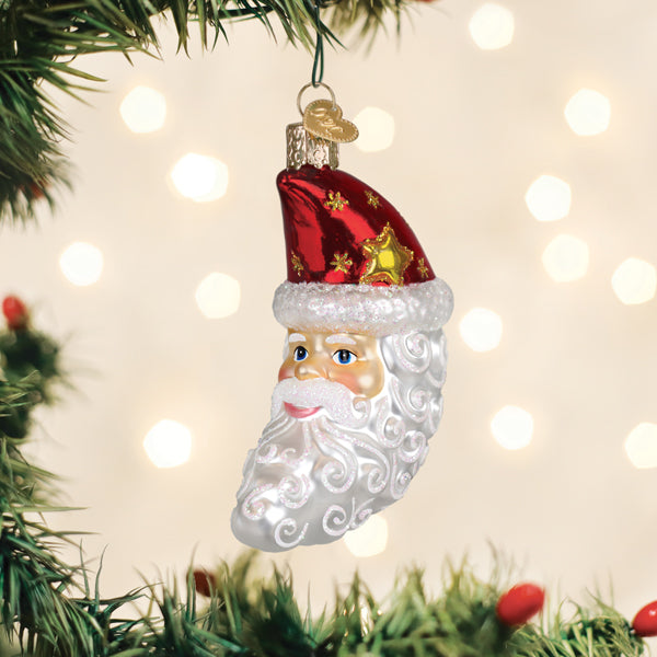 Santa Moon Face Glass Ornament