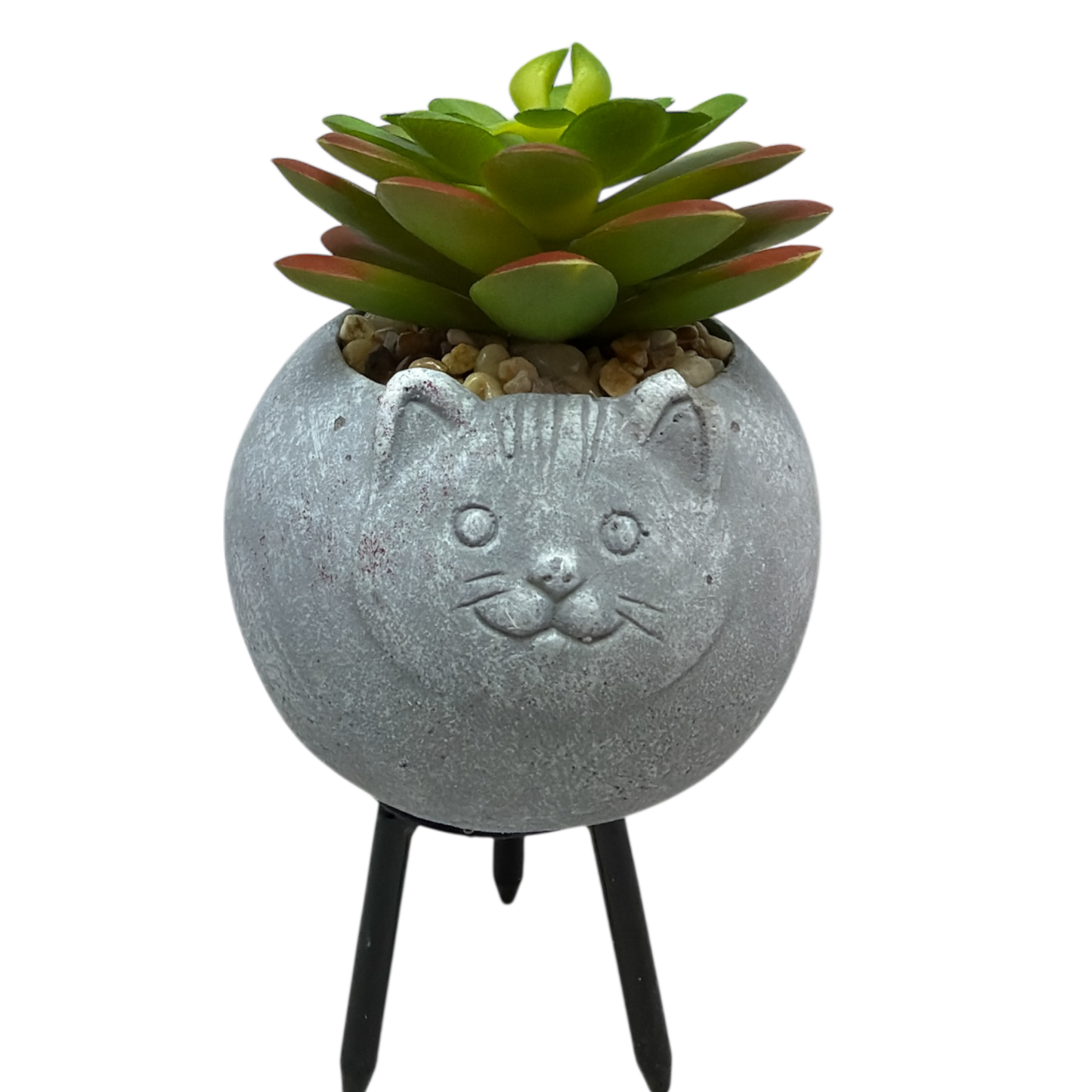 Faux 2 Tone Succulent In Planter - Cat