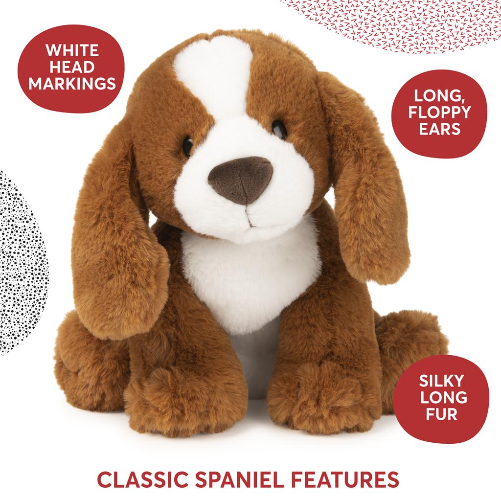 Kian Spaniel Puppy