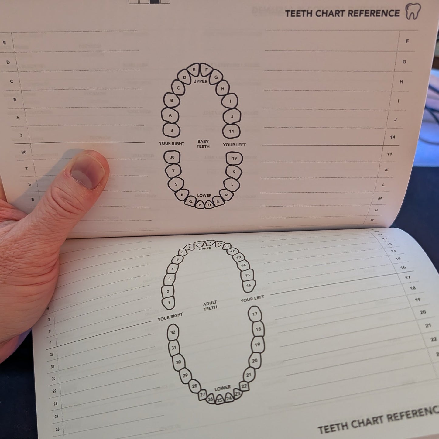 Medical Record Journal | Track your Complete Health & History