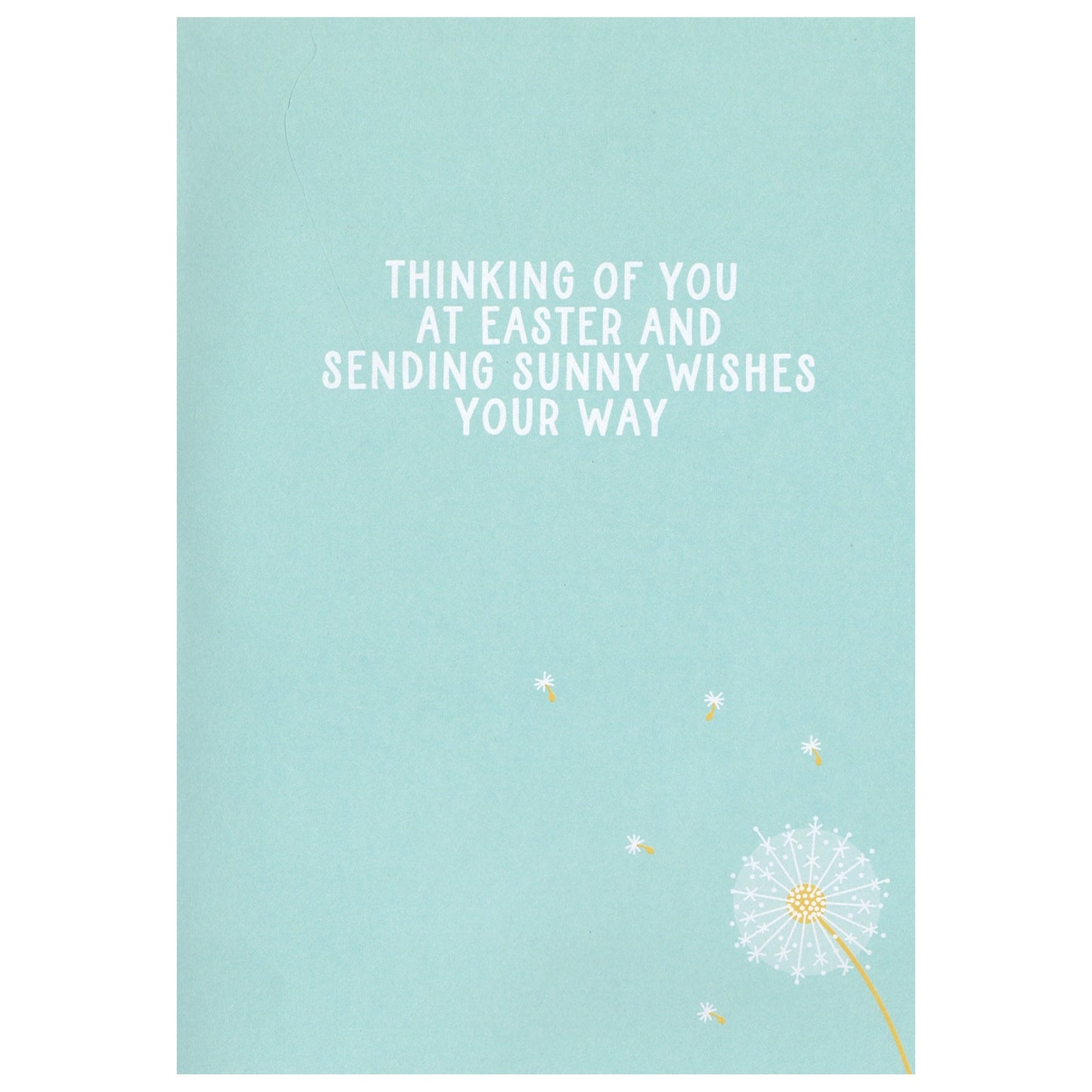 Cotton Tail Bunny and Daisies Easter Card