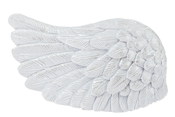 Angel Wing - The Lord Is Kind And Merciful