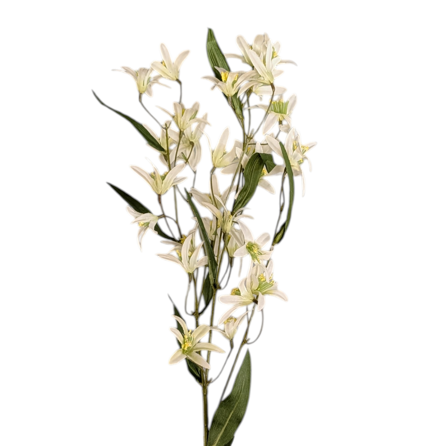 White Jasmine Stem - 29 Inch