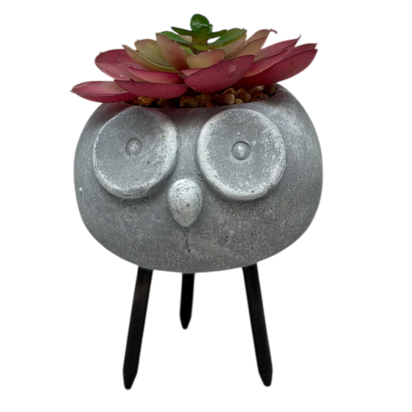 Faux 2 Tone Succulent In Planter - Owl