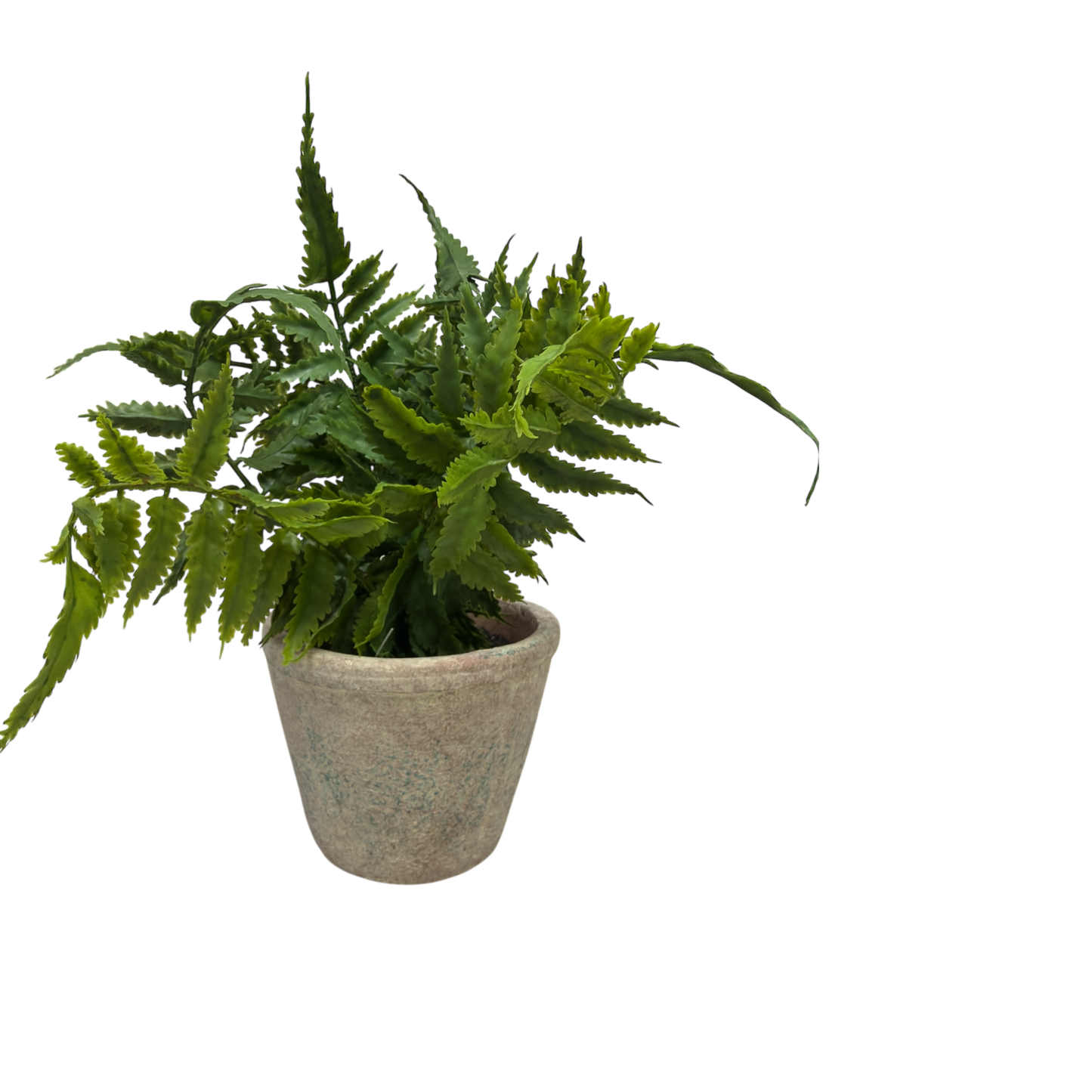 Faux Maidenhair Fern in a Cement Pot