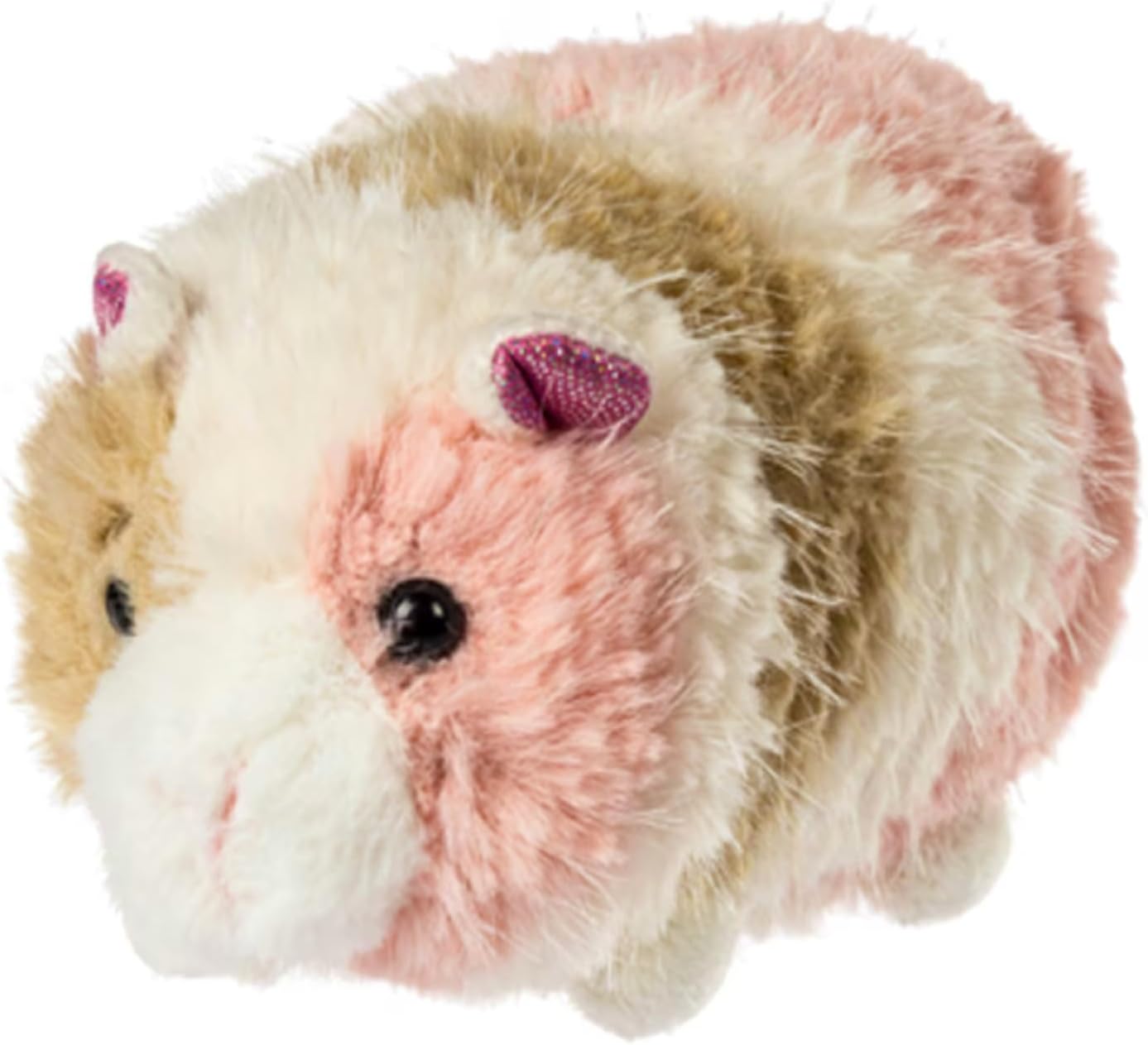 Pipsqueak Guinea Pig