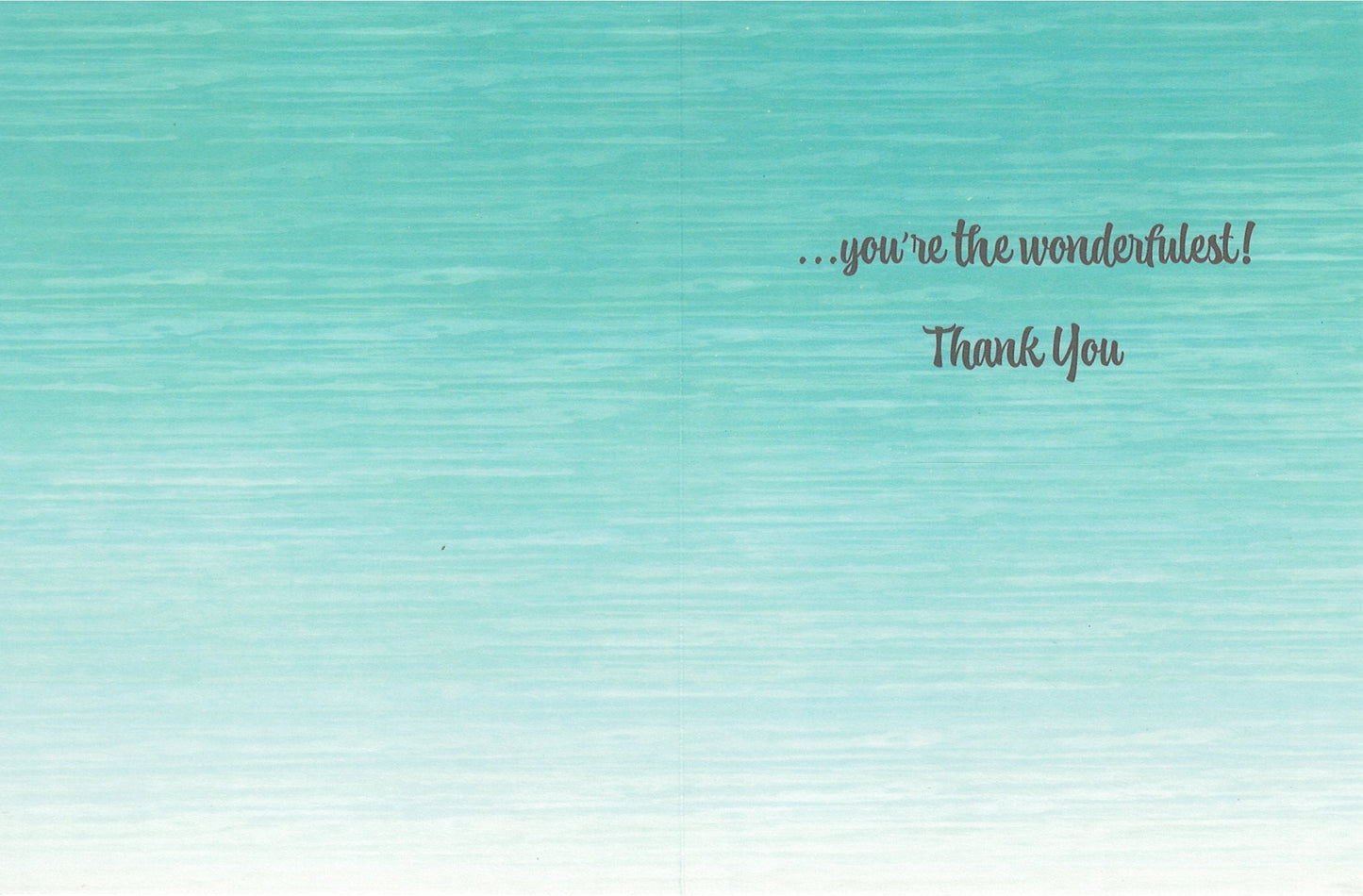 Wonderful People Thank You Card