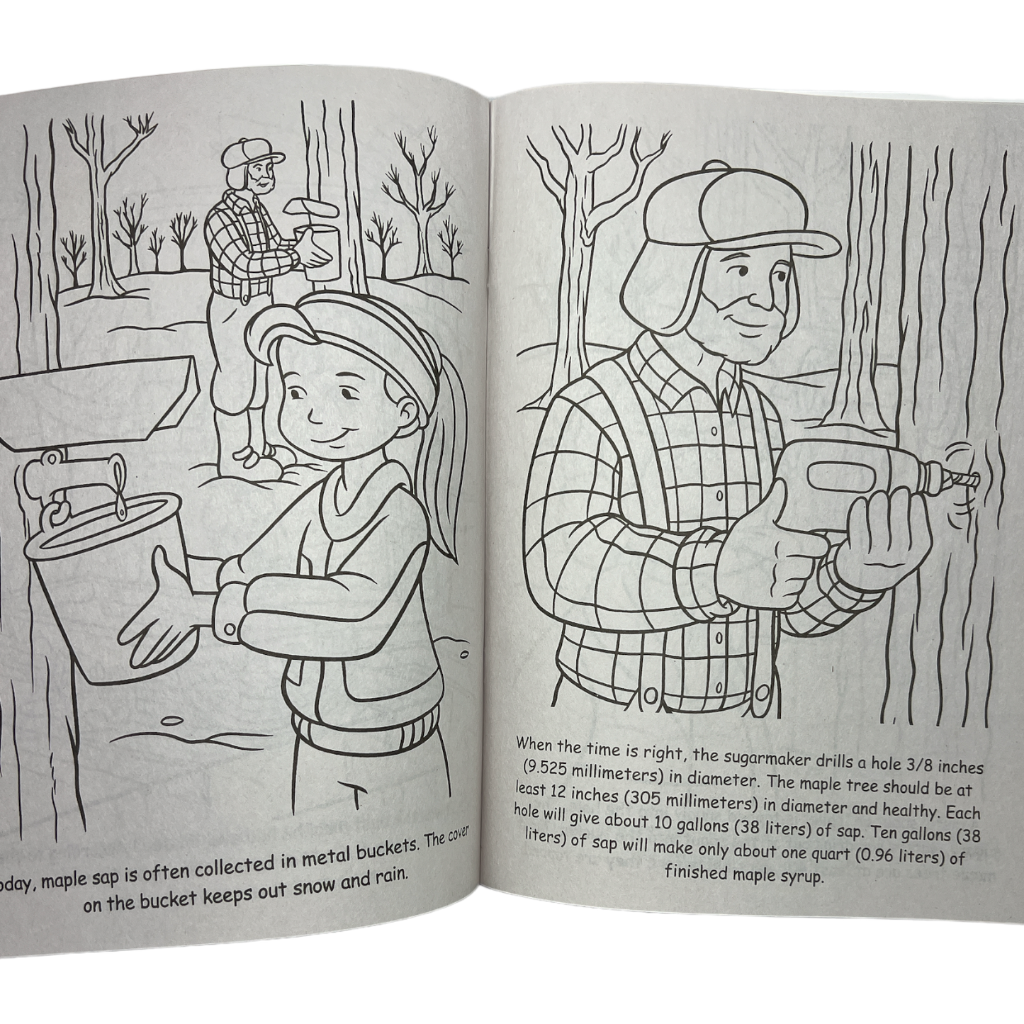 Welcome To Our Sugarhouse  Story / Coloring Book