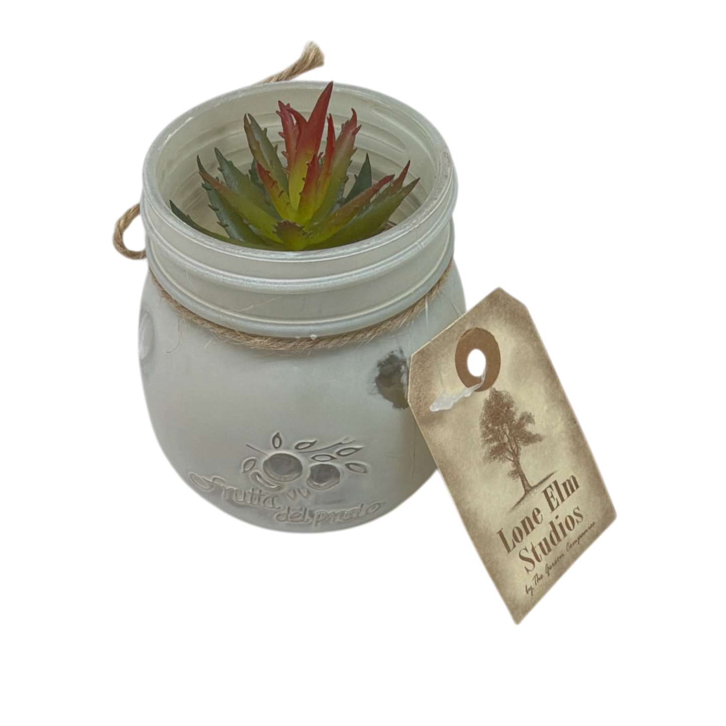 Faux Echeveria Succulent in Glass Jar